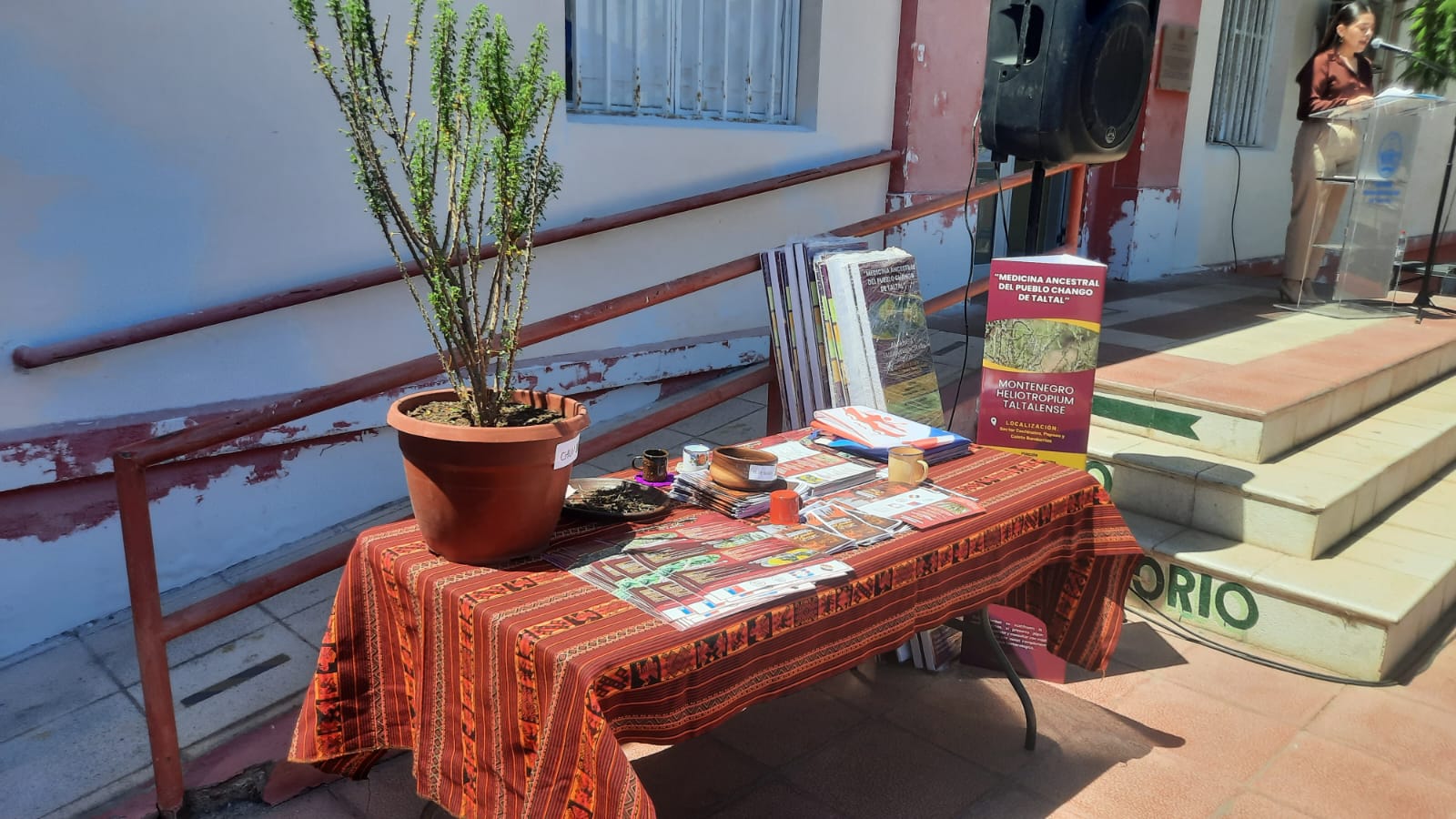 Taltal Promueve El Uso De Yerbas Medicinales Del Pueblo Chango En La