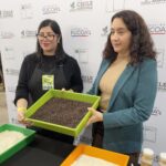 ÓNIX INIA: la primera variedad chilena de arroz negro