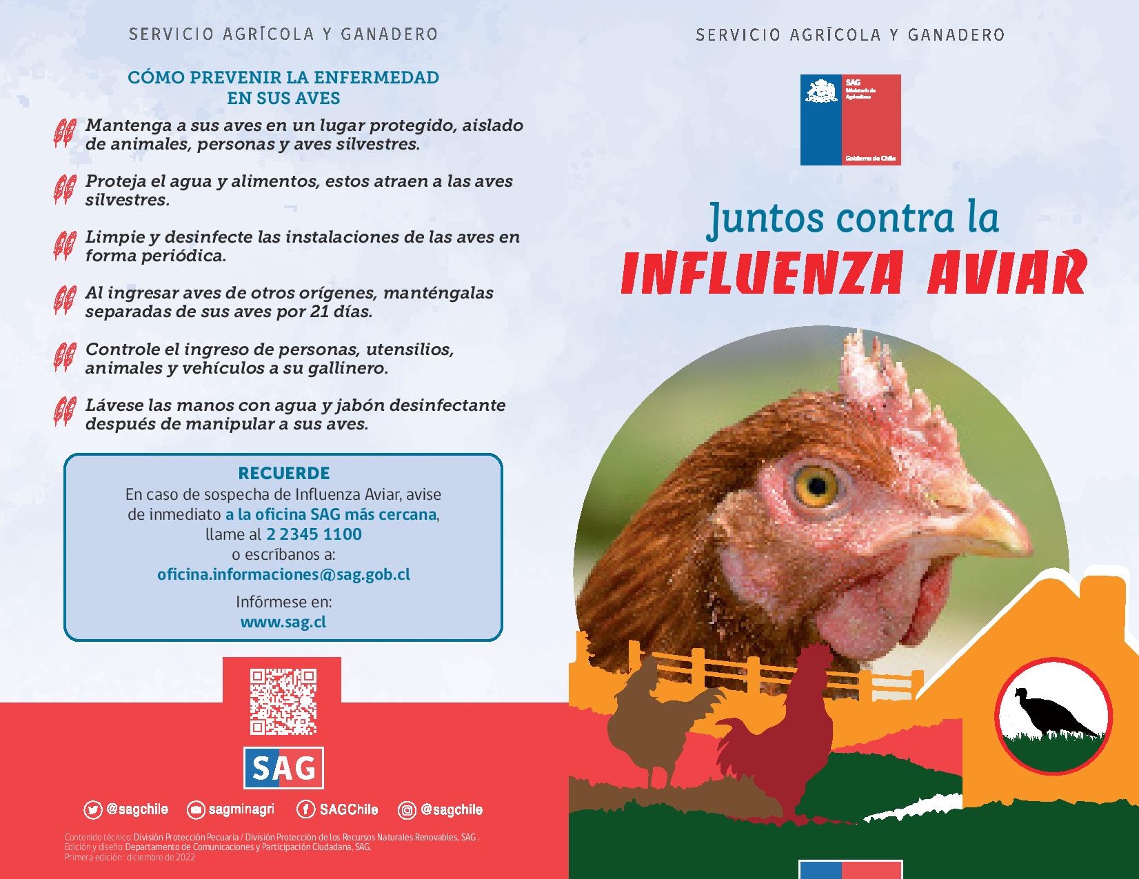 Alerta Por Influenza Aviar Medidas Para Evitar El Contagio En Aves De Corral Bionoticias Cl