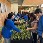 Santo Tomás lanza proyecto huertos urbanos orientado a construir comunidades sostenibles