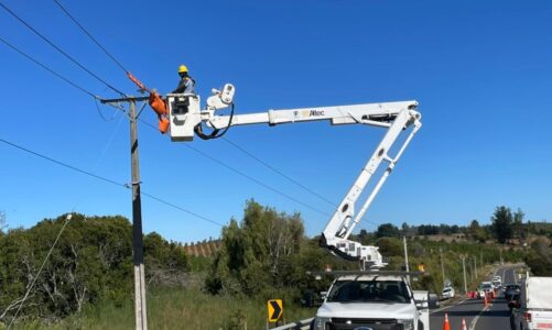 Frontel realizará importantes trabajos de mantenimiento de redes en Yumbel y San Rosendo