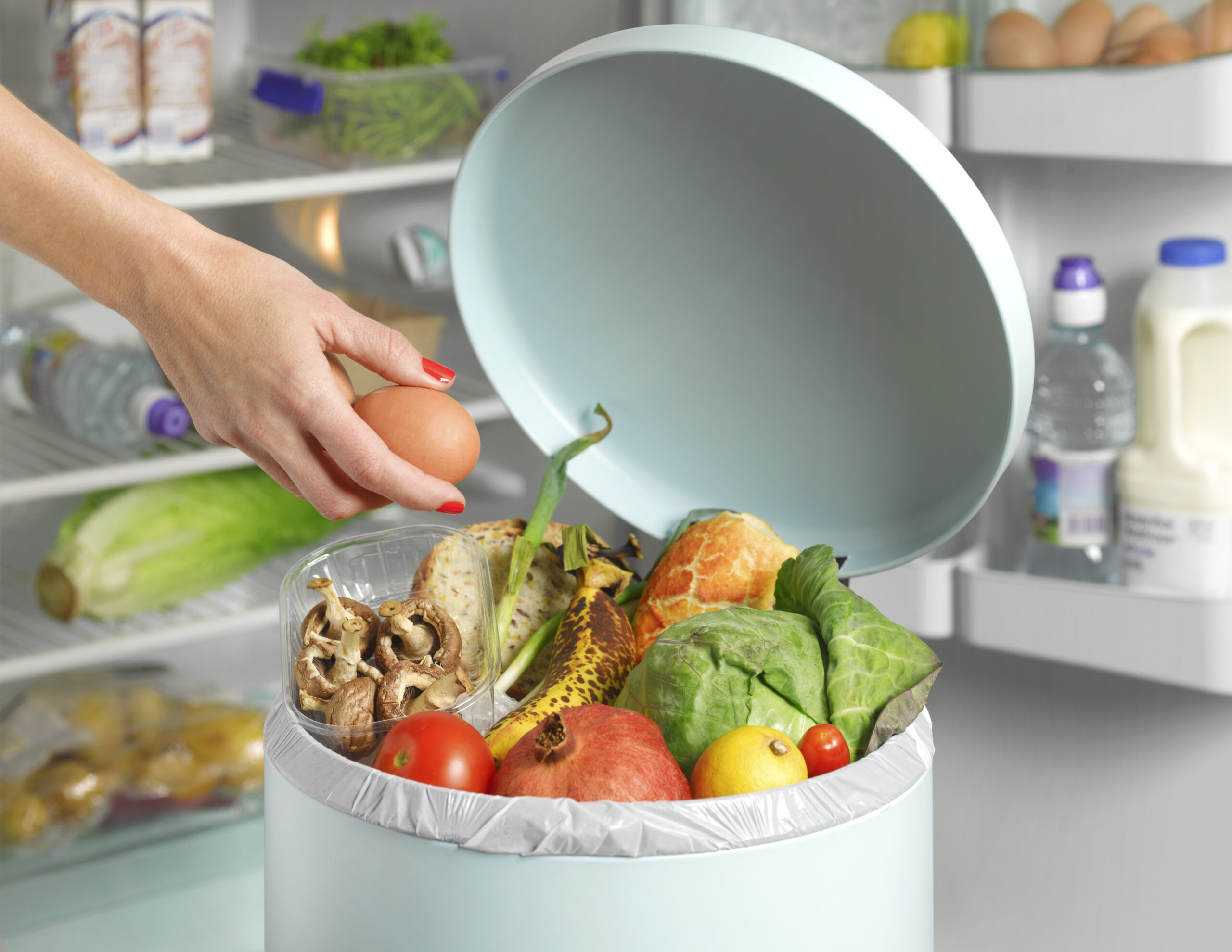 Festas de fin de año: claves para evitar el desperdicio de alimentos en ...